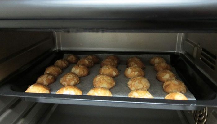 Lò nướng Sanaky VH-309S2D - Hàng chính hãng