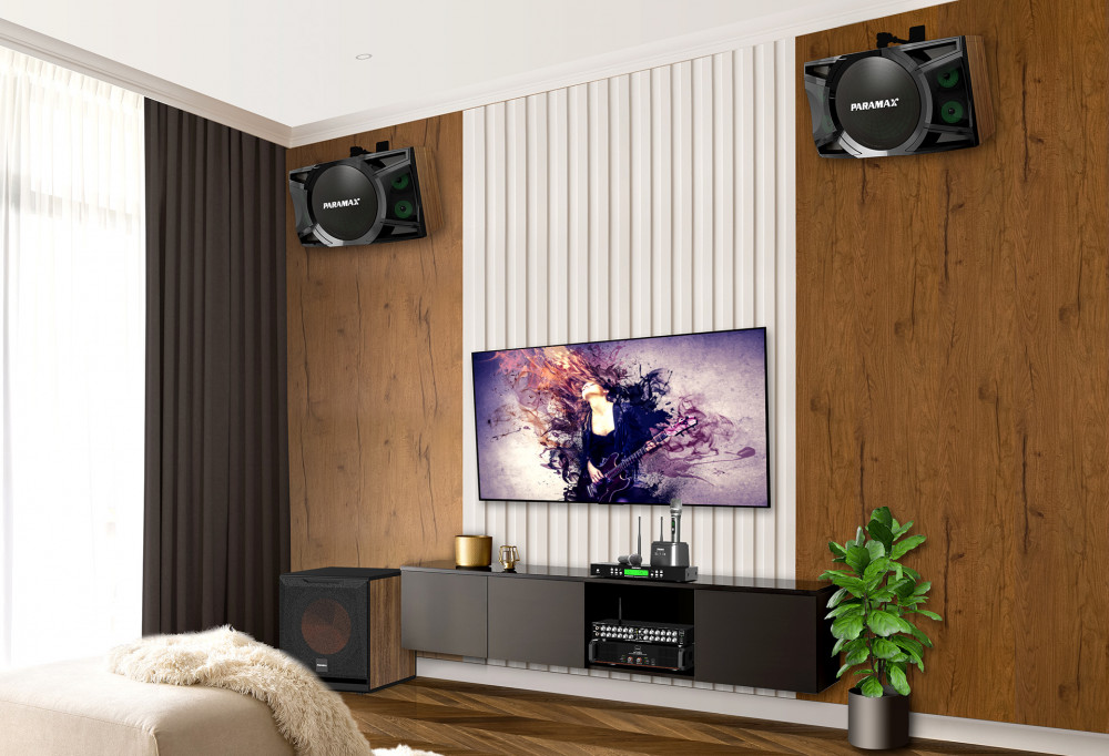 Loa karaoke Paramax P-2500 - Hàng chính hãng