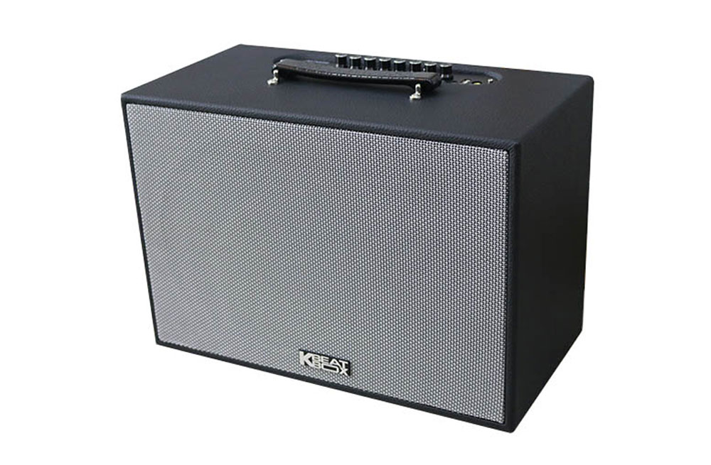 Loa xách tay Acnos CS251PU - Hàng chính hãng