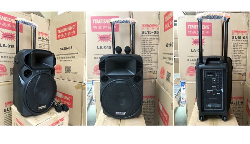 Loa kéo di động Temeisheng A12-21 - Hàng chính hãng