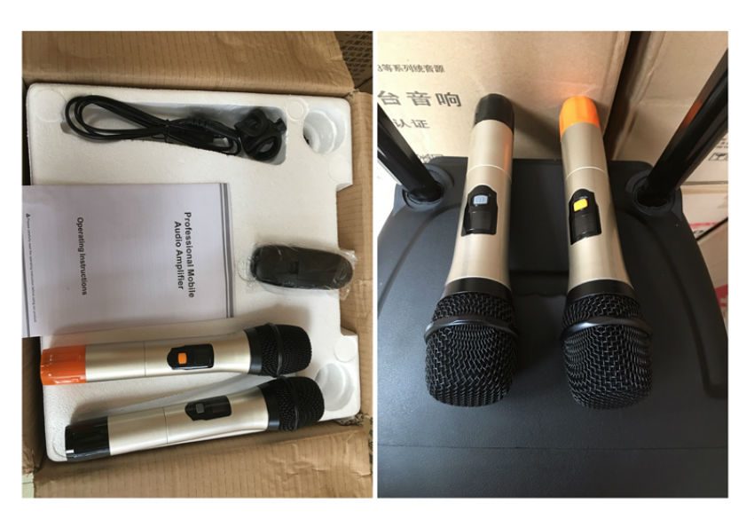 Loa kéo di động Temeisheng A12-21 - Hàng chính hãng