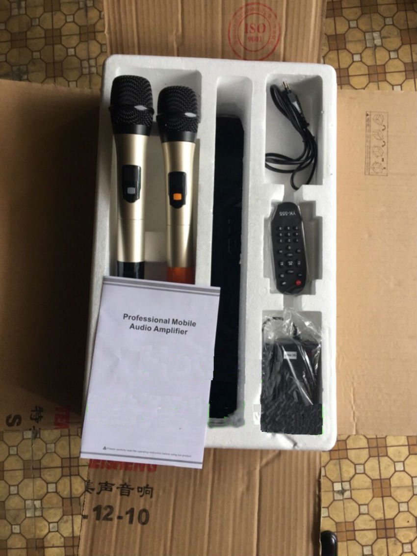 2 micro không dây đi kèm sạc