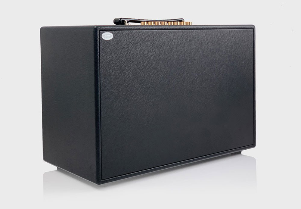 Loa xách tay Acnos CS2501PU - Hàng chính hãng