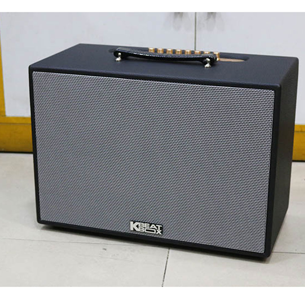 Loa xách tay Acnos CS2501PU - Hàng chính hãng