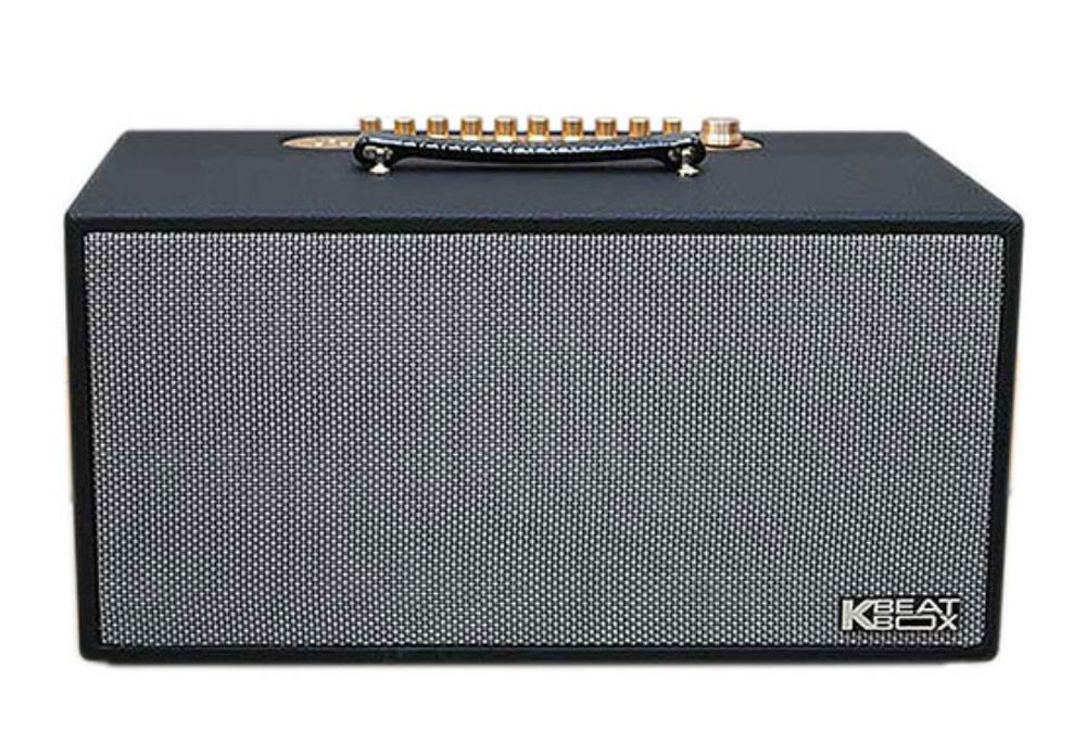 Loa xách tay Acnos NL4501 - Hàng chính hãng