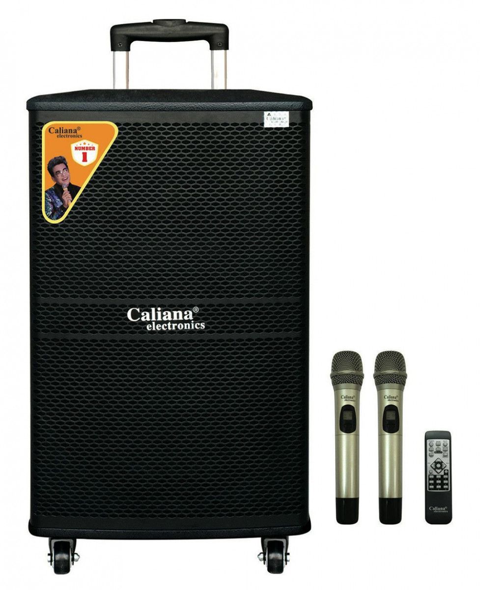 Loa di động Caliana WD-15A - Hàng chính hãng