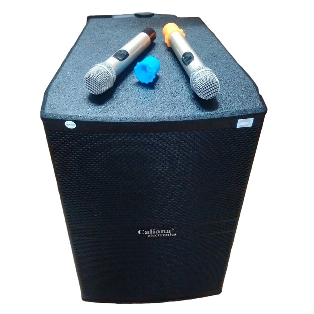 Loa di động Caliana WD-15A - Hàng chính hãng