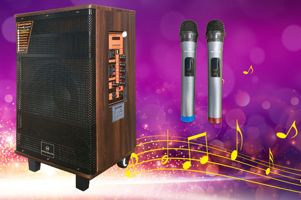 Loa kéo karaoke Maxxsound MAX10 - Hàng chính hãng