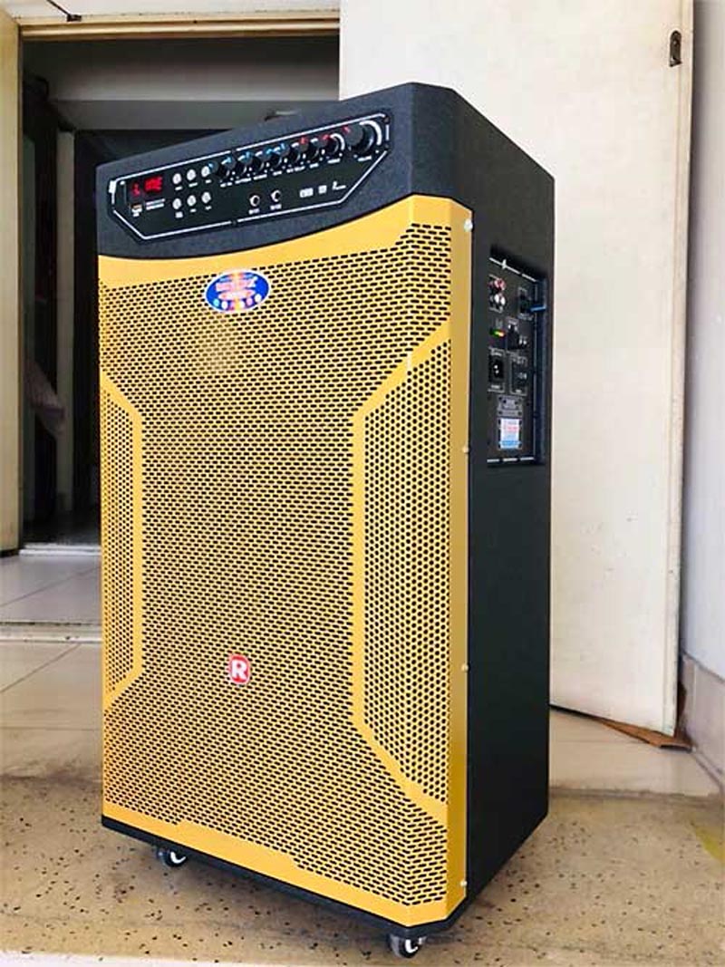 Thùng loa bằng gỗ, mặt trước là kim loại sơn tĩnh điện