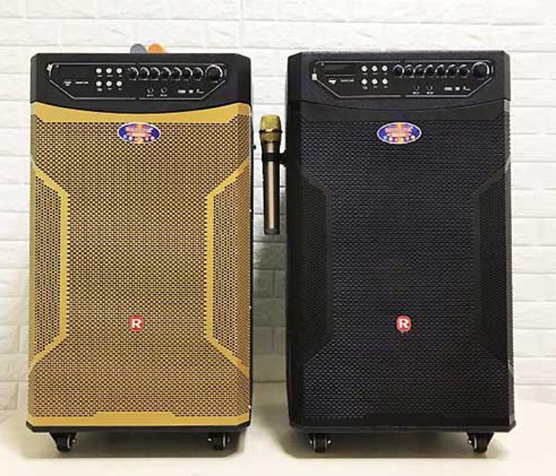 Loa có 2 màu đen và vàng