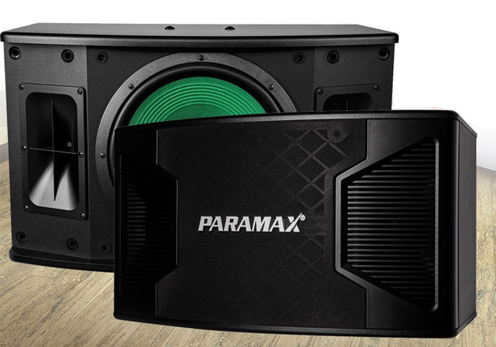 Loa karaoke Paramax P-2500 - Hàng chính hãng