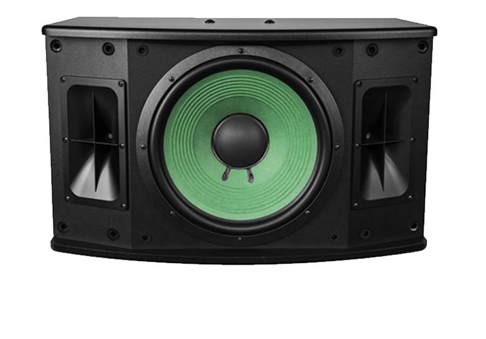 Loa karaoke Paramax P-2500 - Hàng chính hãng