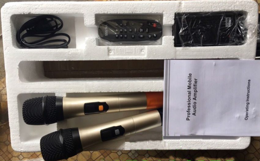 Loa kéo Temeisheng SL10-10 kèm 2 micro không dây