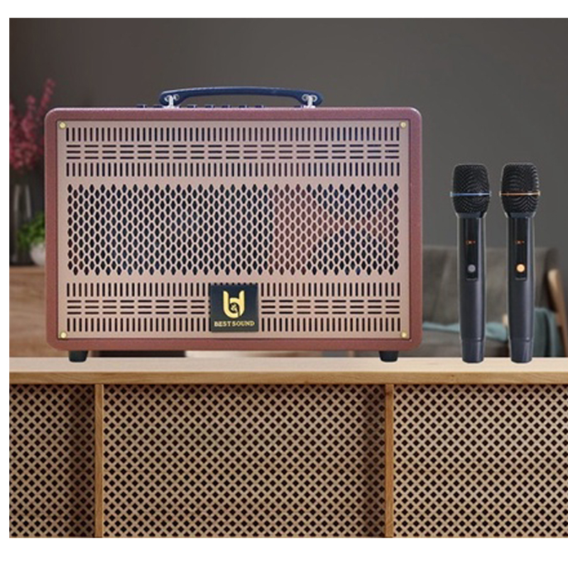 Mua loa được tặng kèm 2 micro không dây