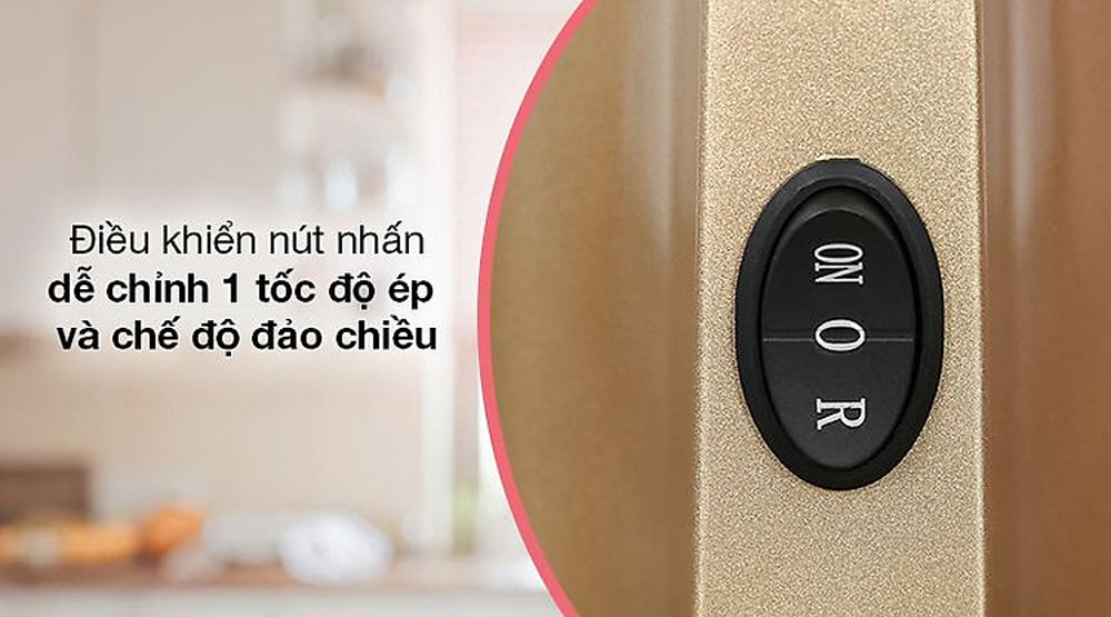 Máy ép chậm Ferroli FSJ-200M - Hàng chính hãng