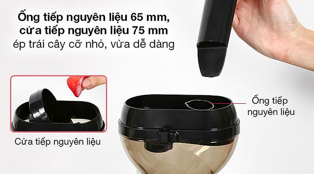 Máy ép chậm Ferroli FSJ-200M - Hàng chính hãng