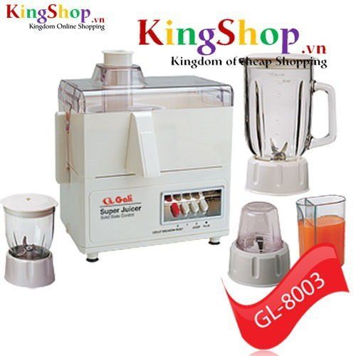 Máy xay ép đa năng Gali GL-8003 – Công suất 300W - Hàng chính hãng