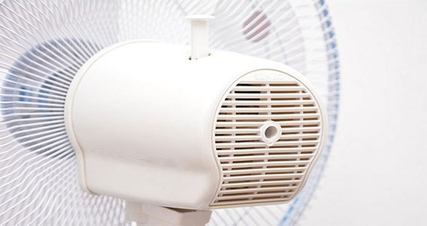 Quạt bàn B4 Senko B813 - Hàng chính hãng