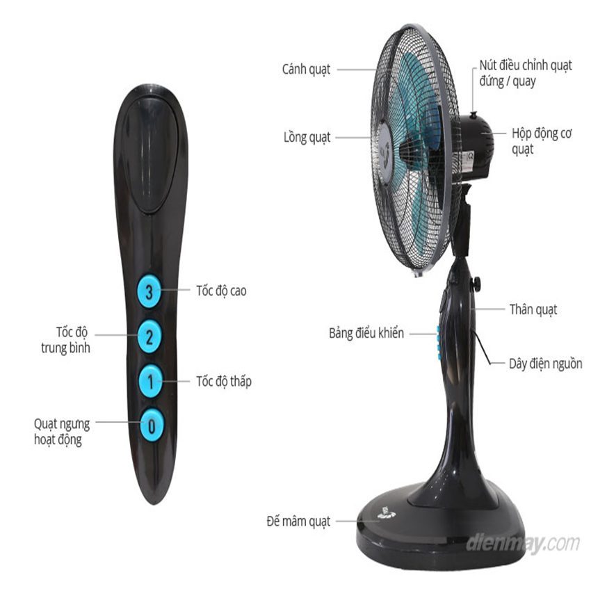  cấu tạo quạt đứng Asia D16015
