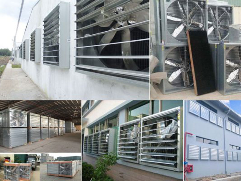 Phù hợp lắp đặt cho các công trình nhà xưởng, kho hàng