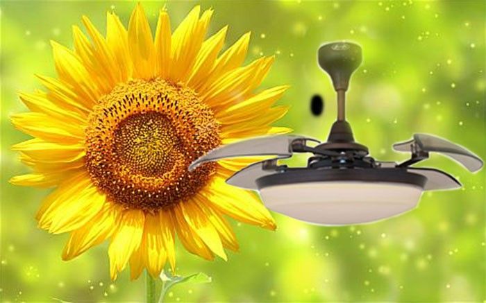 Quạt trần trang trí AlphaFan Sunflower - Hàng chính hãng