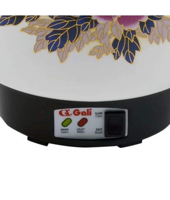 Siêu sắc thuốc Gali GL-1815