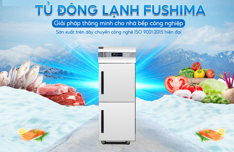 Tủ đông 2 cánh Fushima FSM-TDQ500 - 600L - Hàng chính hãng