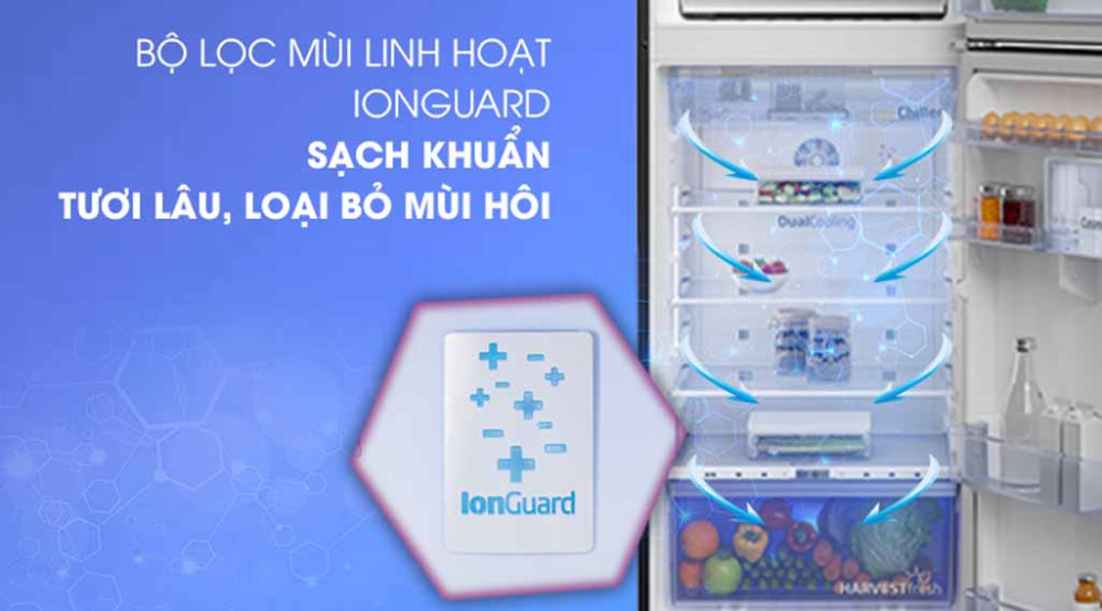 Kháng khuẩn, khử mùi hiệu quả với bộ lọc than hoạt tính