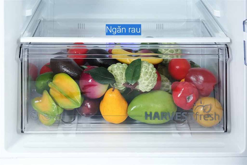 Ngăn rau củ quả Harvest Fresh, giữ thực phẩm tươi ngon lâu ngày