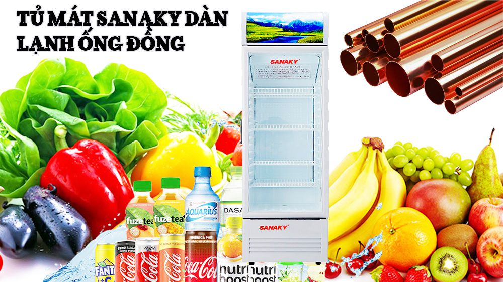 Tủ mát Sanaky 290 lít VH-359KL - Hàng chính hãng