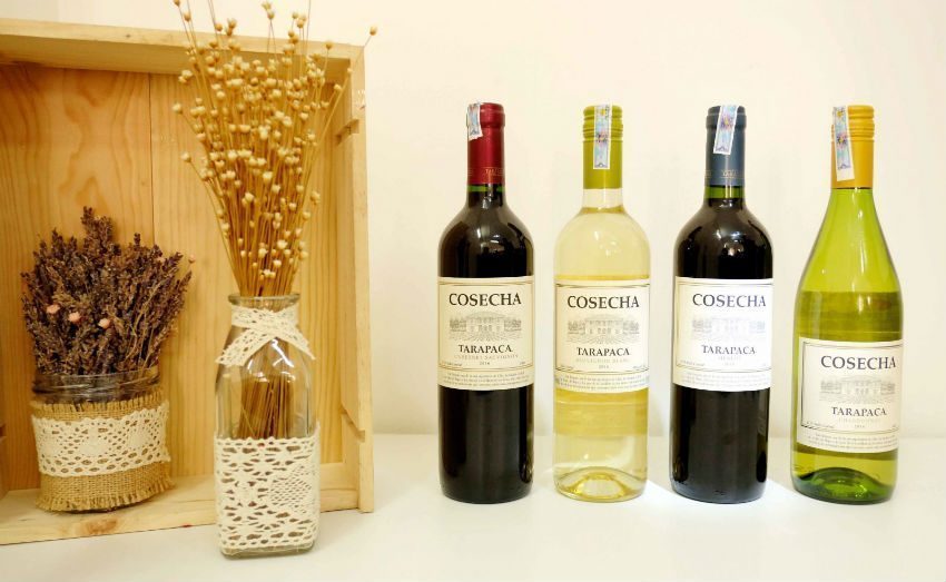 Tủ Bảo Quản Rượu Malloca MWC-22S 