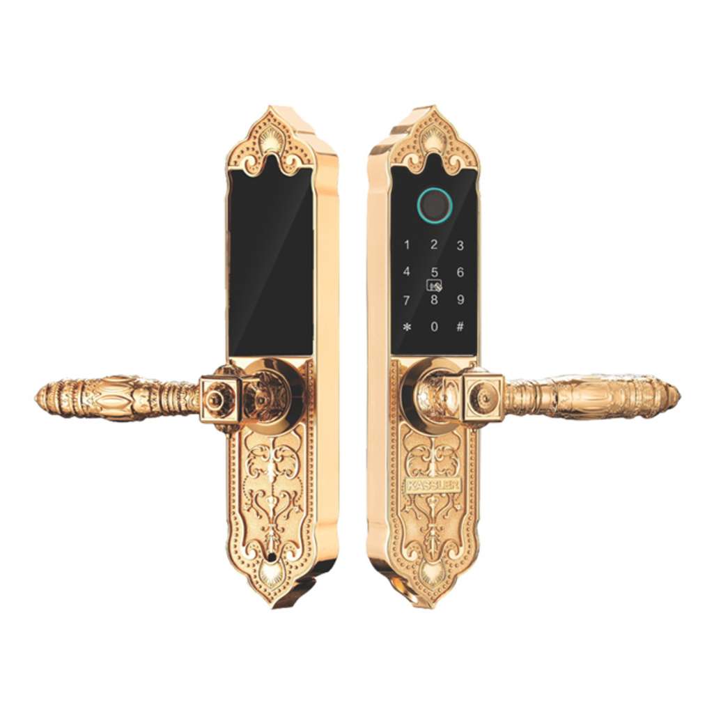 Khóa cửa thông minh Kassler KL-919 APP - Hàng chính hãng