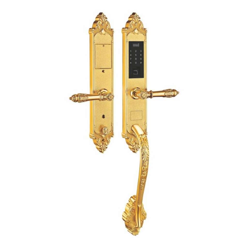 Khóa điện tử vân tay Kassler KL-969G - Hàng chính hãng