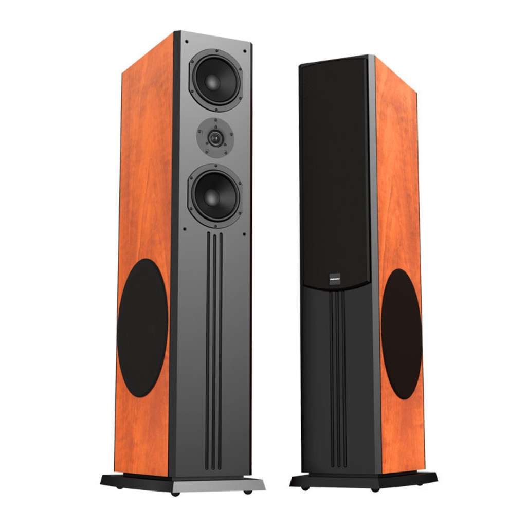 Loa đứng Paramax D88 Limited - Hàng chính hãng