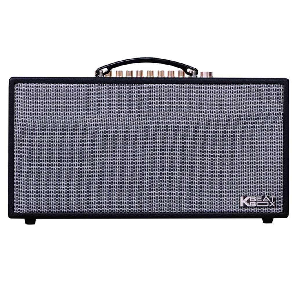 Loa karaoke xách tay Acnos HN450 - Hàng chính hãng