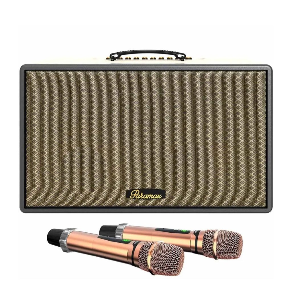 Loa karaoke xách tay Paramax SAGA - Hàng chính hãng