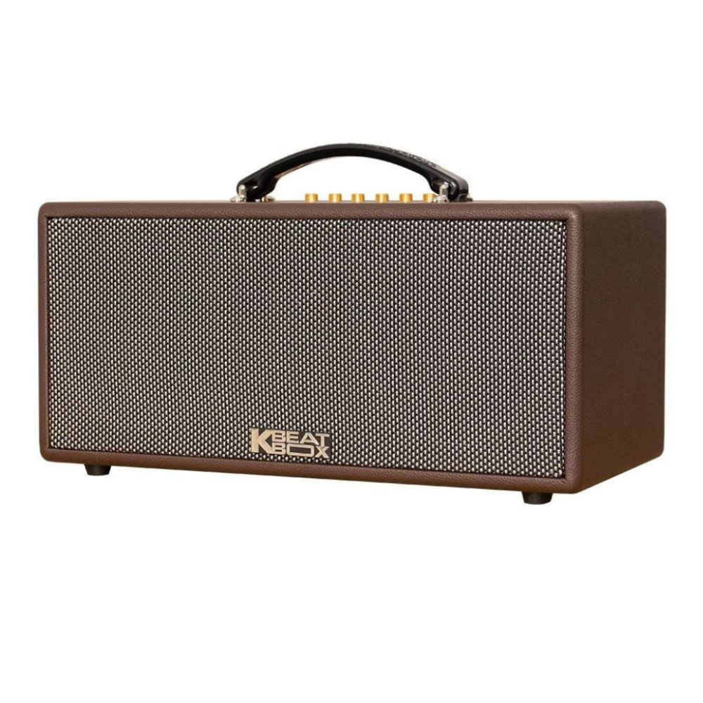 Loa xách tay Acnos CS366PLUS - Hàng chính hãng