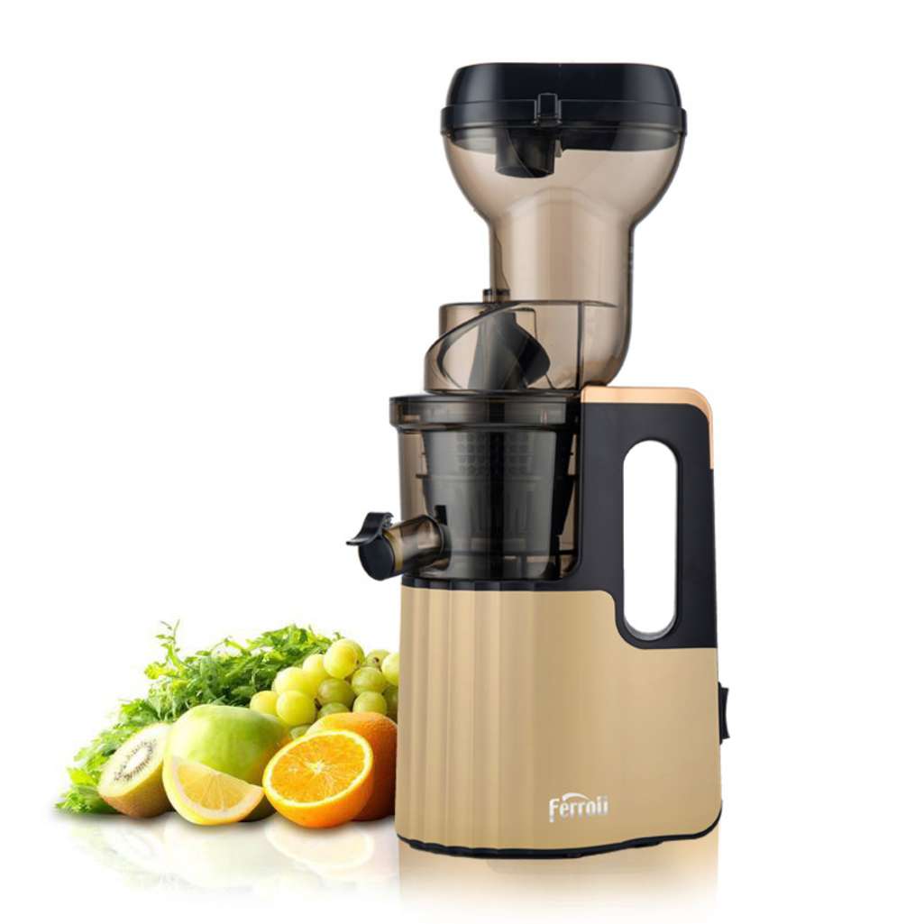 Máy ép chậm Ferroli FSJ-200M - Hàng chính hãng