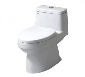 Bàn cầu một khối Inax C-939VN