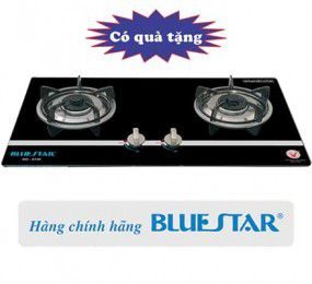 Bếp gas âm Bluestar NG-6730 - Hàng chính hãng