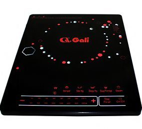 Bếp từ Gali GL-2016 - Hàng chính hãng