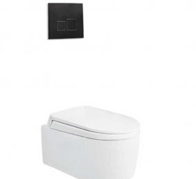 Bồn cầu két nước âm tường Viglacera V55