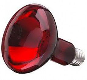 Bóng đèn hồng ngoại Philips 100W - Hàng chính hãng