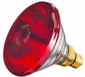 Bóng đèn hồng ngoại Philips 150W - Hàng chính hãng