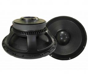 Củ loa bass rời 4 tấc Từ 220 Coil 100 Ruby JW151018 - Hàng chính hãng