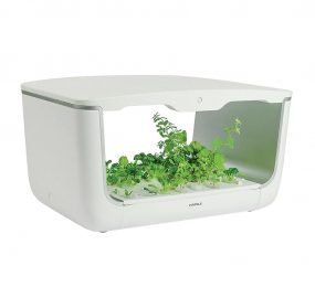 Máy trồng cây thông minh Hafele BM-H001WH 539.76.990 - Hàng chính hãng