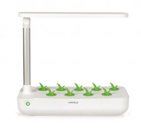 Hộp trồng cây thông minh Hafele BM-T001WH 539.76.980 - Hàng chính hãng