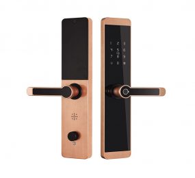 Khóa cửa điện tử thông minh Kassler KL-600 - Hàng chính hãng