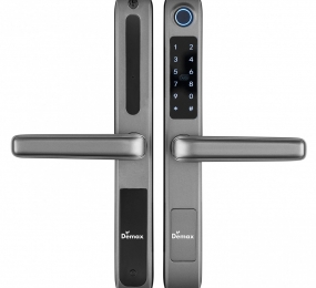 Khóa cửa thông minh Demax SL101 SV - APP WIFI - Hàng chính hãng