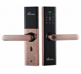 Khóa cửa thông minh Demax SL266 AC - APP WIFI - Hàng chính hãng